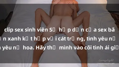 clip sex sinh viên Sự hấp dẫn của sex bãi biển: Khi sóng biển xanh kết hợp với cát trắng, tình yêu nở hoa. Hãy thả mình vào cõi tình ái giữa sóng biển!